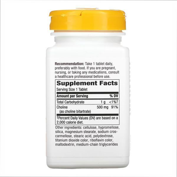 Choline 500 mg - 100 tabs фото