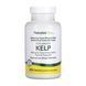 Kelp - 300 tabs фото 1